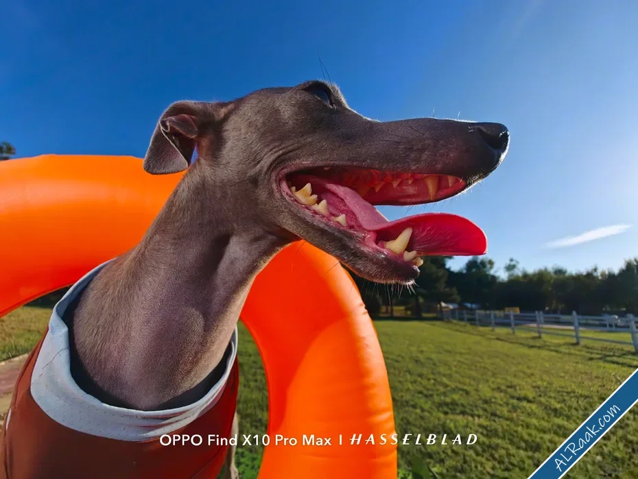 Oppo Find X10 يقترب من أوروبا بكاميرات Hasselblad وتصوير احترافي بمزايا متعددة-1.webp