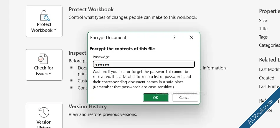 كيفية حماية ملف Excel بكلمة مرور بأكثر من طريقة-2.webp
