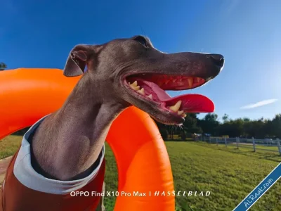 Oppo Find X10 يقترب من أوروبا بكاميرات Hasselblad وتصوير احترافي بمزايا متعددة